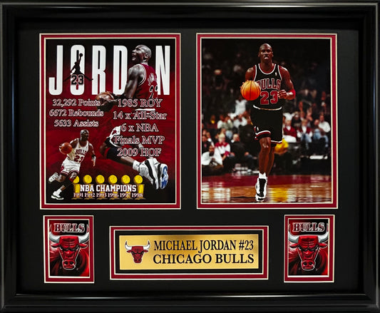 CHICAGO BULLS MICHAEL JORDAN CAREER STATS 16X20 DOUBLE MATTED PHOTOS AND FRAMED